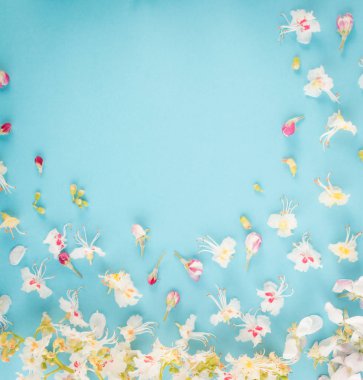 Güzel erken bahar bahçe çiçek çiçek açması ışık kestane çiçekler düz lay ve en iyi görünümü arka plan. Metin yer ile yaratıcı pastel kağıt kartı