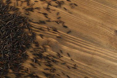 Ham siyah yabani pirinç arka plan üstten görünüm. Sağlıklı diyet Kanada pirinç tahıl doku ile metin için yer