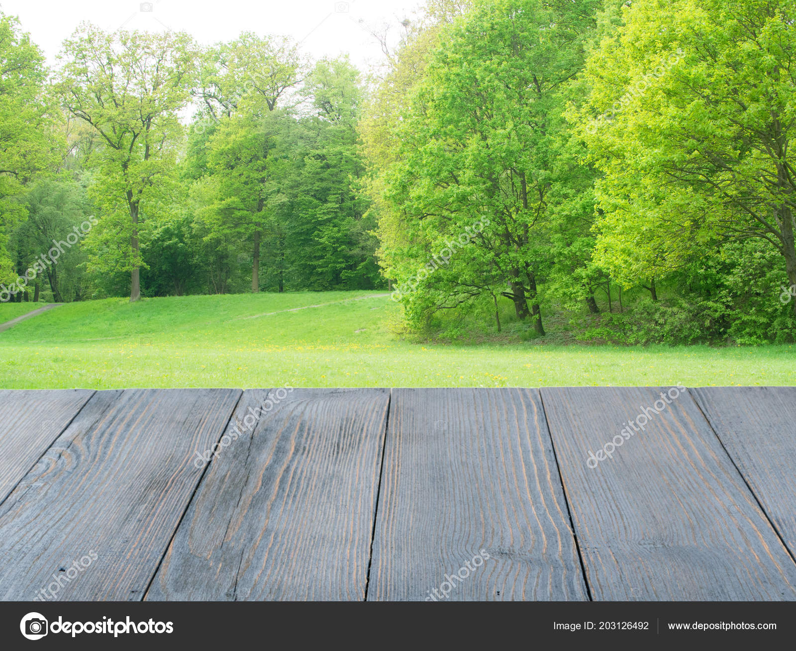 Empty Wood Table Beautiful Summer Day Rustic Wooden Desk