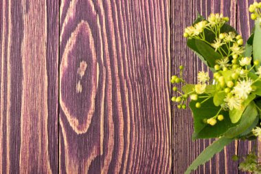 Ihlamur çiçek ahşap arka plan üzerinde. Güzel yaz buket ahşap masa doku üzerinde. Ihlamur çiçeği ile metin için yer