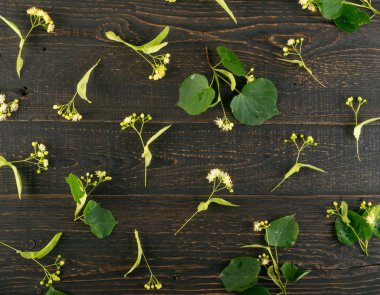 Ihlamur çiçek desen ahşap arka plan üzerinde. Güzel yaz Tilia ahşap masa doku üzerinde çırpı. Ihlamur çiçekleri üstten görünüm ve düz Lay