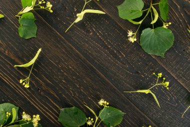 Ihlamur çiçek desen ahşap arka plan üzerinde. Güzel yaz Tilia ahşap masa doku üzerinde çırpı. Ihlamur çiçekleri üstten görünüm ve düz Lay