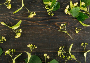 Ihlamur çiçek desen ahşap arka plan üzerinde. Güzel yaz Tilia ahşap masa doku üzerinde çırpı. Ihlamur çiçekleri üstten görünüm ve düz Lay