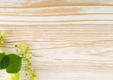 Ihlamur çiçek ahşap arka plan üzerinde. Güzel yaz buket ahşap masa doku üzerinde. Ihlamur çiçeği ile metin için yer