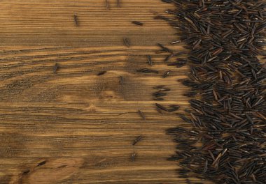 Ham siyah yabani pirinç arka plan üstten görünüm. Sağlıklı diyet Kanada pirinç tahıl doku ile metin için yer