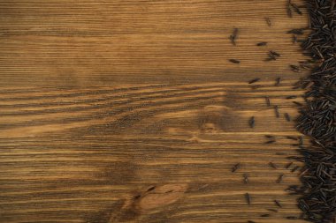 Ham siyah yabani pirinç arka plan üstten görünüm. Sağlıklı diyet Kanada Bio pirinç tahıl doku ile metin için yer