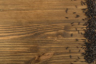 Ham siyah yabani pirinç arka plan üstten görünüm. Sağlıklı diyet Kanada pirinç tahıl doku ile metin için yer