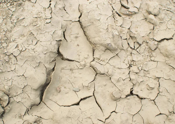 Cracked dry earth top view as drought and global warming concept. Broken clay soil texture with cracks on surface