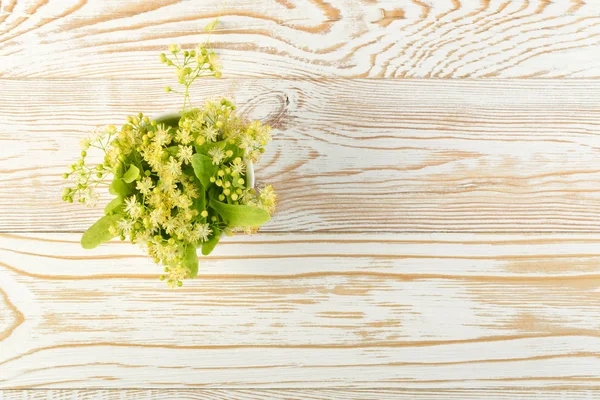 Flores Tilo Sobre Fondo Madera Hermoso Ramo Verano Sobre Textura — Foto de Stock