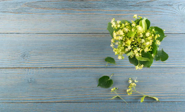 Ihlamur çiçek ahşap arka plan üzerinde. Güzel yaz buket ahşap masa doku üzerinde. Ihlamur çiçeği ile metin için yer
