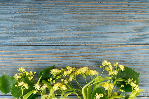 Fiori Tiglio Sfondo Legno Bellissimo Mazzo Estivo Sopra Struttura Della — Foto Stock