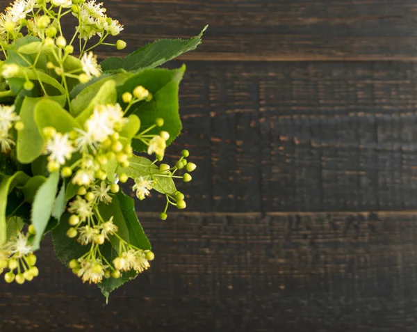 Fiori Tiglio Sfondo Legno Bellissimo Mazzo Estivo Sopra Struttura Della — Foto Stock