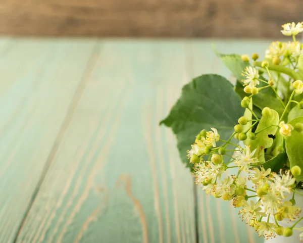 Ihlamur çiçek ahşap arka plan üzerinde. Güzel yaz buket ahşap masa doku üzerinde. Ihlamur çiçeği ile metin için yer