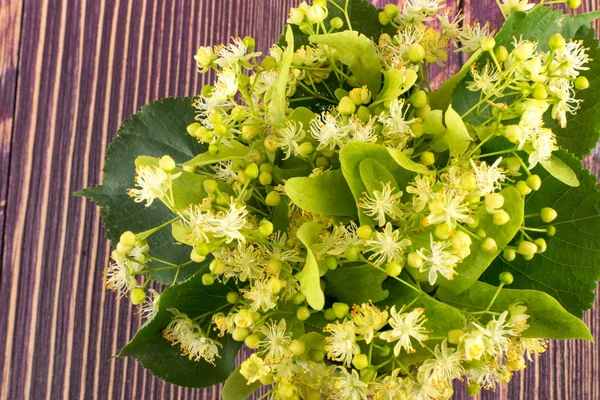 Linden Bloemen Houten Achtergrond Prachtige Zomer Bouquet Houten Tafel Textuur — Stockfoto