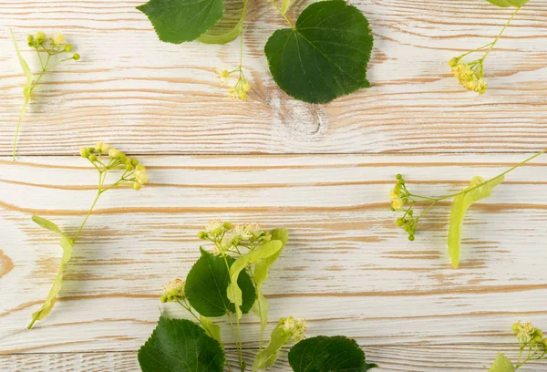 Patrón Flores Tilo Sobre Fondo Madera Hermosas Ramas Tilia Verano — Foto de Stock