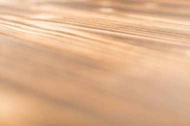 Seçici odak ile yanmış ahşap arka plan. Ahşap tahta tahta doku vurulmuş. Vintage yenilikçi tasarım için doğal rustik fotoğraf zemin