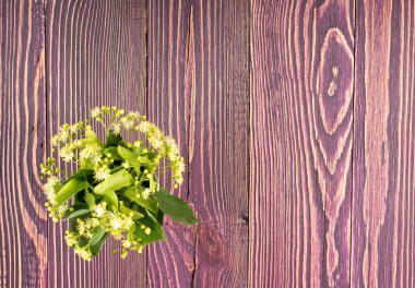 Ihlamur çiçek ahşap arka plan üzerinde. Güzel yaz buket ahşap masa doku üzerinde. Ihlamur çiçeği ile metin için yer