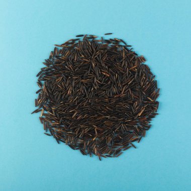 Ham siyah yabani pirinç üzerinde mavi Kağıt arka plan en iyi görünüm düz yatıyordu. Sağlıklı diyet Kanada Bio pirinç tahıl doku ile metin için yer