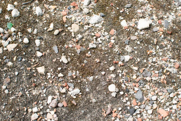Gray Brown Wet Gravel Road Vários Fundo Cascalho Textura Pedras — Fotografia de Stock