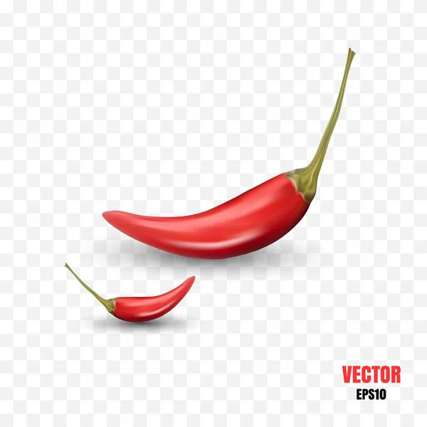 Foto Realista Vector Ilustración Chiles Picantes Aislados Montón Pimienta Cayena — Vector de stock