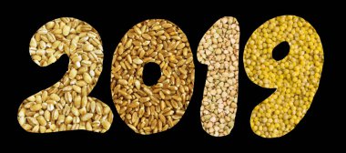 2019 numaraları ile tahıl ve tohum toplama siyah arka plan üzerine izole. Yaratıcı yeni yıl sağlıklı beslenme kavramı buğday, arpa, buğday ve darı tahıl