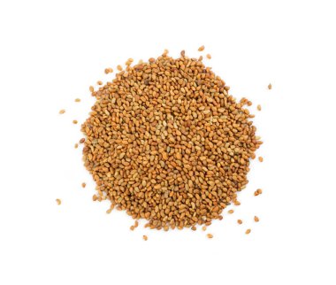 Alfalfa Seeds or Medicago Isolated on White Background Top View. Small Lucerne Grains Uses as Healthy Superfood and Common Ingredient of South Indian Cuisine Dishes clipart