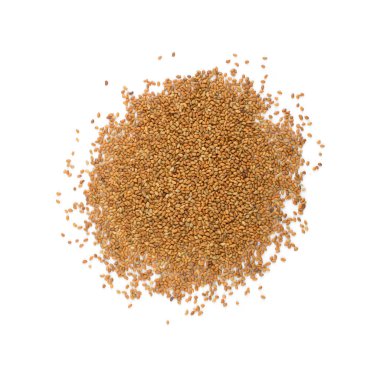 Alfalfa Tohumları ya da Medicago Beyaz Arkaplan Üst Görünümü 'nde izole edilmiş. Küçük Lucerne Tahılları Sağlıklı Süper Yiyecekler ve Güney Hindistan Mutfak Yemekleri Malzemeleri Kullanır