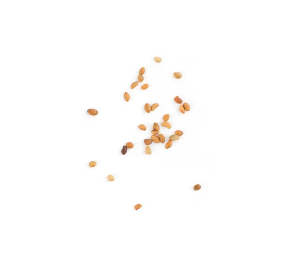 Semințe Lucernă Sau Medicago Izolate Fundal Alb Top View Cerealele — Fotografie, imagine de stoc