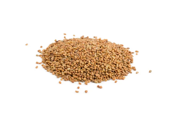 Alfalfa Seeds Medicago Isolated White Background Small Lucerne Grains Uses — Stock Photo, Image