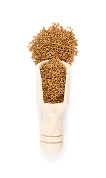 Alfalfa Seeds Medicago Wooden Scoop Aislado Sobre Fondo Blanco Vista — Foto de Stock