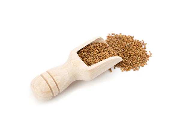 Alfalfa Seeds Medicago Wooden Scoop Aislado Sobre Fondo Blanco Vista — Foto de Stock