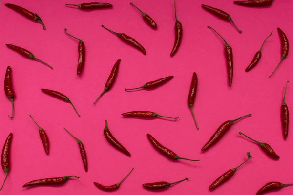Zeer Hot Chili Peppers Roze Papieren Achtergrond Bovenaanzicht Rode Pittige — Stockfoto