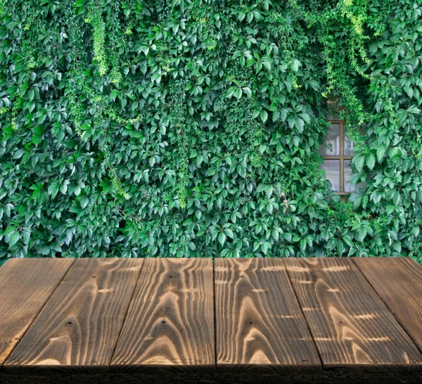 Meja Kayu Luar Dengan Dinding Hijau Yang Subur Dari Hedera — Stok Foto