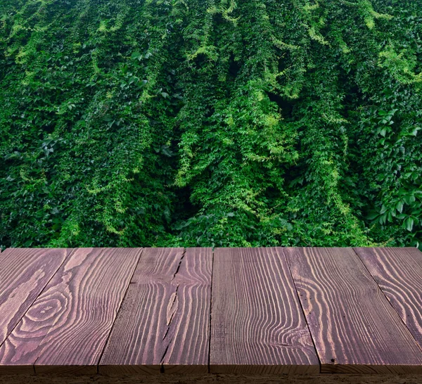 Wood table outside with lush green wall of hedera helix or creeper foliage in summer day. Ivy carpet or beautiful natural herbal background, leaf pattern, texture for product montage