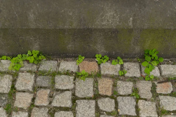 灰色の古い舗装トップビューまたは花崗岩の石畳の道 古代のレンガの石畳の床や大きな石と花崗岩のタイルの通り — ストック写真