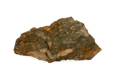 Çam ağacı kabuğu parçaları üzerinde beyaz izole. Ormanda doğa çip üstten görünüm kırık