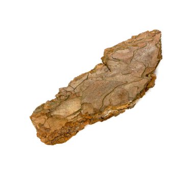 Beyaz Arkaplanda Çam, Sedir veya Meşe Ağacı Kabuğu Parçaları izole edildi. Doğal Kırık Tahta Bahçe Malç Çipleri Üst Görünümü