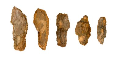 Beyaz Arkaplanda Çam, Sedir veya Meşe Ağacı Kabuğu Parçaları izole edildi. Doğal Kırık Tahta Bahçe Malç Çipleri Üst Görünümü