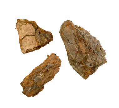 Beyaz Arkaplanda Çam, Sedir veya Meşe Ağacı Kabuğu Parçaları izole edildi. Doğal Kırık Tahta Bahçe Malç Çipleri Üst Görünümü