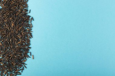 Ham siyah yabani pirinç üzerinde mavi Kağıt arka plan en iyi görünüm düz yatıyordu. Sağlıklı diyet Kanada Bio pirinç tahıl doku ile metin için yer