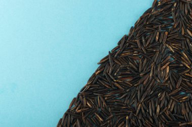 Ham siyah yabani pirinç üzerinde mavi Kağıt arka plan en iyi görünüm düz yatıyordu. Sağlıklı diyet Kanada Bio pirinç tahıl doku ile metin için yer