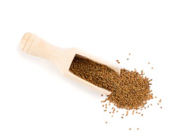 Yonca tohum veya Medicago ahşap kepçe beyaz arka plan üzerinde üstten görünüm izole içinde. Küçük Lucerne kullanır sağlıklı Superfood ve güneyde Hint mutfağı yemekleri ortak madde olarak tahıllar