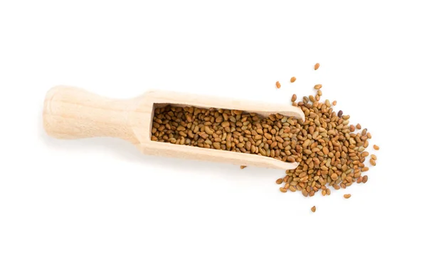 Alfalfa Seeds Medicago Wooden Scoop Aislado Sobre Fondo Blanco Vista —  Fotos de Stock