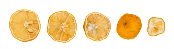Set Aus Getrockneten Orangenscheiben Mit Isolierter Schale Trockene Zitronenkreise Mit — Stockfoto