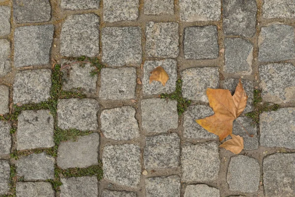 Grey Old Pavement Top View Granito Cobblestone Road Antiga Tijolo — Fotografia de Stock