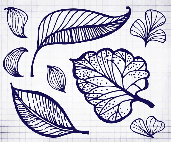 Handritad Doodle Leaf Vektorillustration Anteckningsboken Blad Handskrivna Skissade Löv — Stock vektor