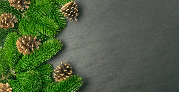 가문비나무 나뭇가지와 배경에 텍스트 전나무 소나무 나뭇가지 Pinecones 전망의 매크로 — 스톡 사진