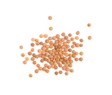 Kuru kahverengi mercimek tohumu ya da beyaz arka planda izole edilmiş vegan protein kaynağı. Yenilebilir lens baklagillerinin makro fotoğrafı ya da lens esculenta yakın çekim