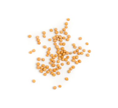 Beyaz arka plan üzerinde üstten görünüm izole sarı hardal tohumu kuru. Makro fotoğraf sinapis alba yakın çekim