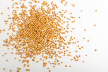 Beyaz arka plan üzerinde üstten görünüm izole sarı hardal tohumu kuru. Makro fotoğraf sinapis alba yakın çekim